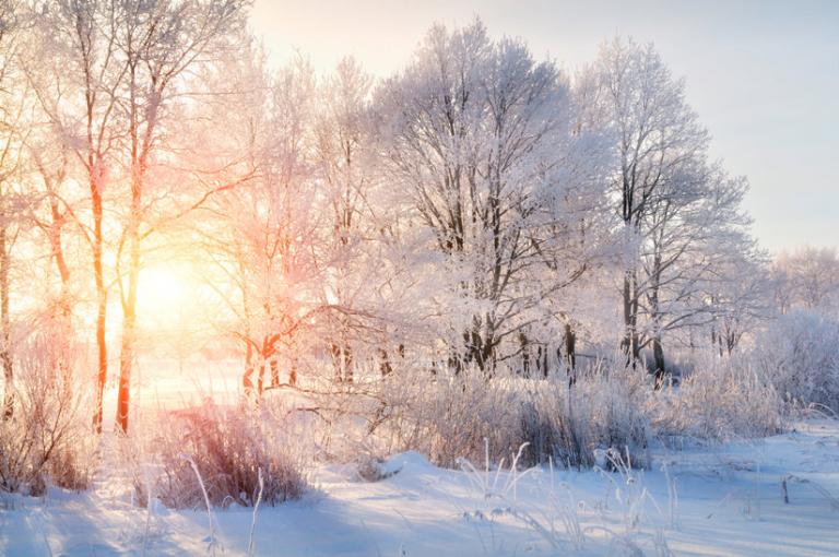 Photo by Marina Zezelina/Shutterstock.com