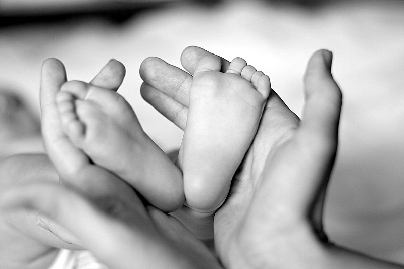 A Scientologists writes on what being a mother is all about