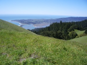 The Pacific Ocean viewed from the green grassy slopes of Mt. Tamalpais, Marin county, CA, USA. Photo by Barbara Newhall