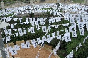 White prayer flags printed with outline of drought-killed trees hung in Austin, TX, in 2015 as part of THIRST temporary art installation. Photo by Barbara Newhall