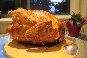A  roasted turkey, filled with stuffing, ready to carve. Photo by Barbara Newhall