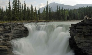 athabasca-falls-599391_1280