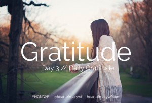 gratitude day 3