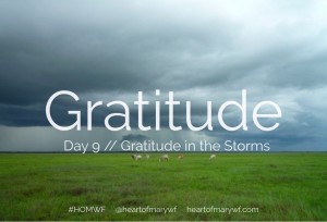 gratitude day 9