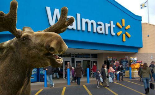 WalmartMoose