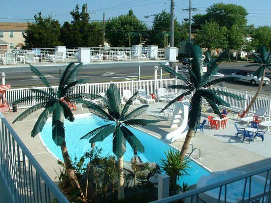 Fiberglass palm trees are not actually a native species at the Jersey shore.