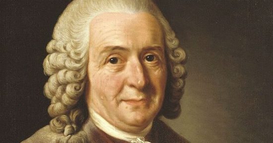 Carl Linnaeus stooped to name-calling in his "Systema Naturae." What an uncivil homo sapiens.