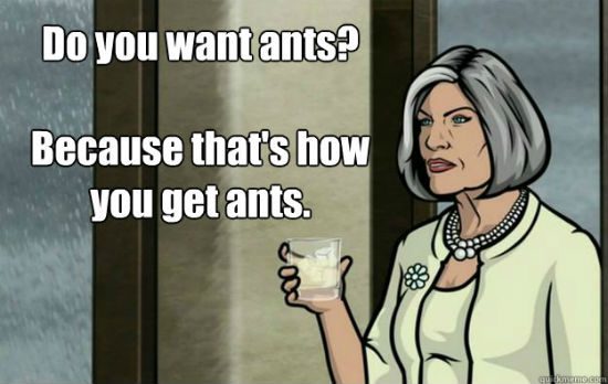 Ants