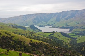 Port Levy, Canterbury, New Zealand, by PhillipC, Wikimedia Commons