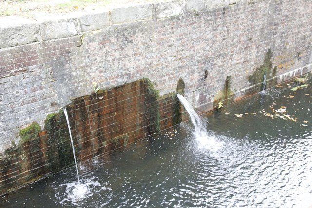 a leak, from http://www.geograph.org.uk/photo/3212859; © Copyright Bill Nicholls and licensed for reuse under this Creative Commons Licence.