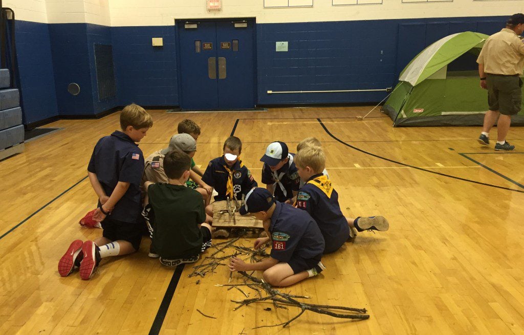 scout demo