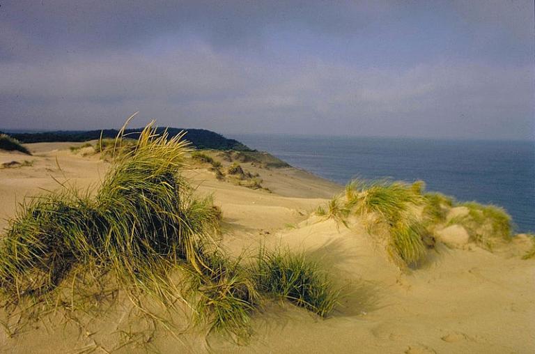 https://commons.wikimedia.org/wiki/File%3AIndiana_Dunes_National_Lakeshore_(8741872906).jpg; By NOAA Great Lakes Environmental Research Laboratory (3049) [CC BY-SA 2.0 (http://creativecommons.org/licenses/by-sa/2.0)], via Wikimedia Commons