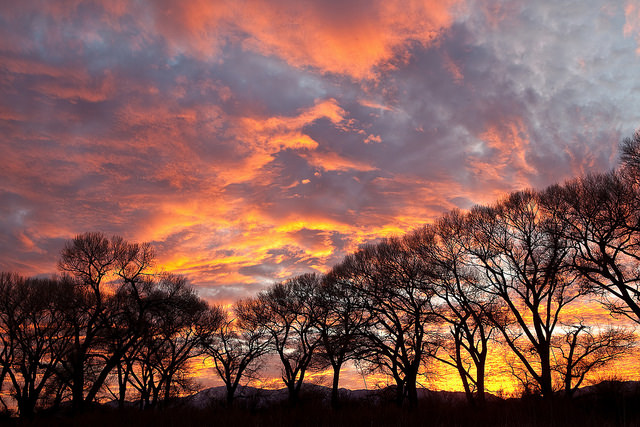 Happy Weekend, World. (Credit: Bureau of Land Management, CC license.)