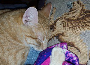 Well, I thought I was going to sew.