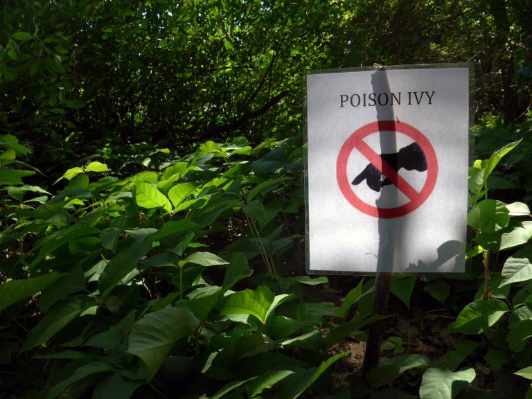 Some stuff is good about announcing itself. (Credit: Vlad Podvorny, CC license.)