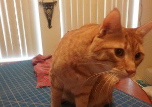 My sewing helper.