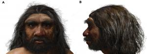 reconstruction of an ancient neighbor of ours