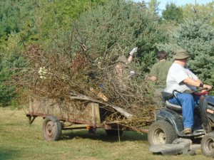 brush cart