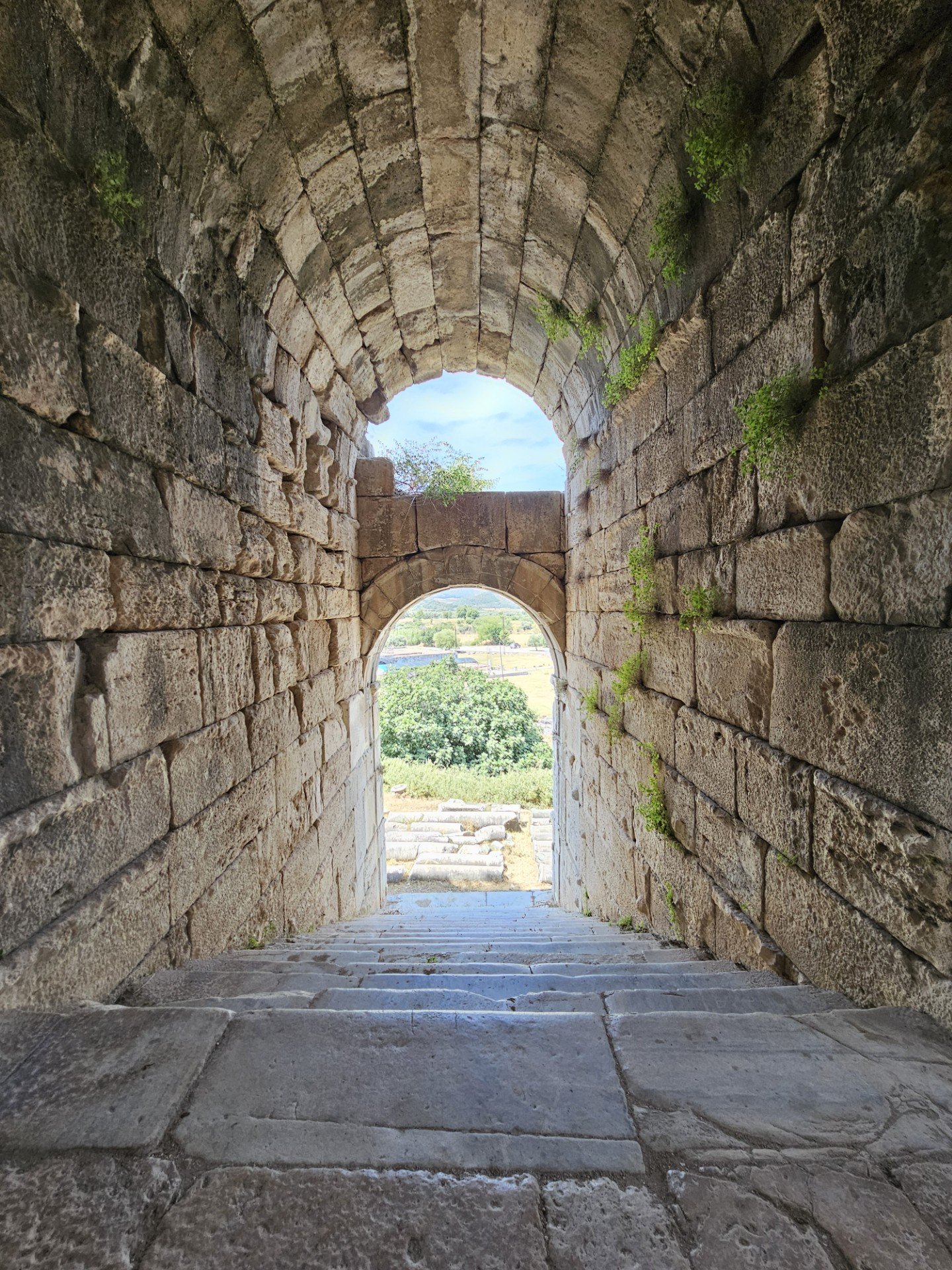 The Neglected Site at Miletus– Part Two
