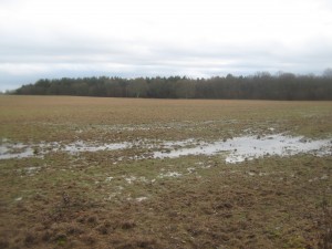 Muddy Field by David Anstiss Creative Commons 2.0 