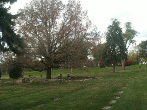 cemetary