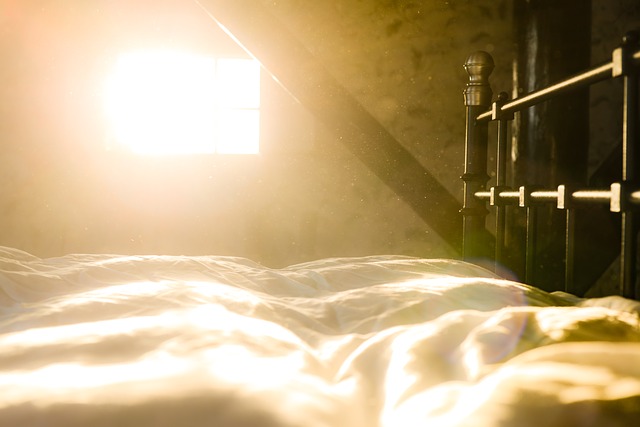 Light Returns But I was sleeping - CCO Pixabay
