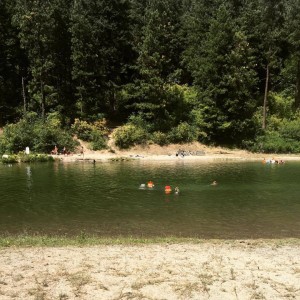 The kids swimming