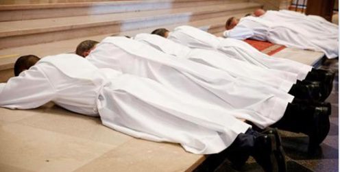 Ordination Update: 8 New Deacons For Boston | Deacon Greg Kandra