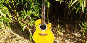 guitar-bamboo-fb