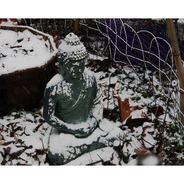 After my "Fun a Day" project this January I let Mom pick one print as a gift. This one, "Broken Plastic Buddha", is the one she picked.