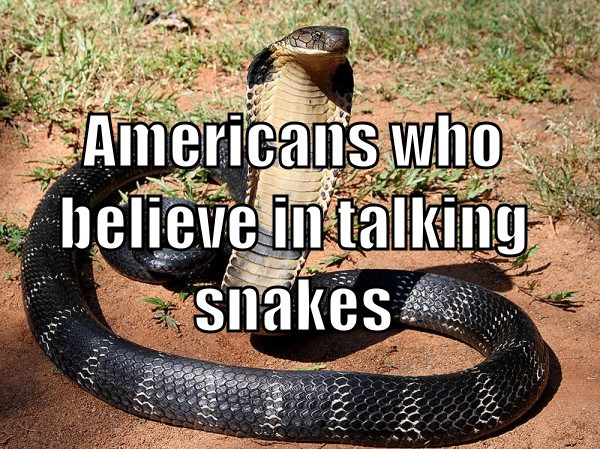 snake talk