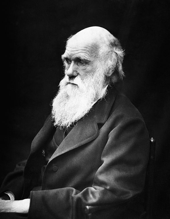 Darwin2