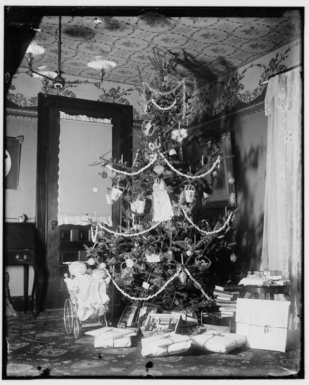 History Of Christmas Trees & Their Symbolism | Dave Armstrong