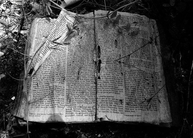 Abandoned Bible. Photo By: Patrick Feller.