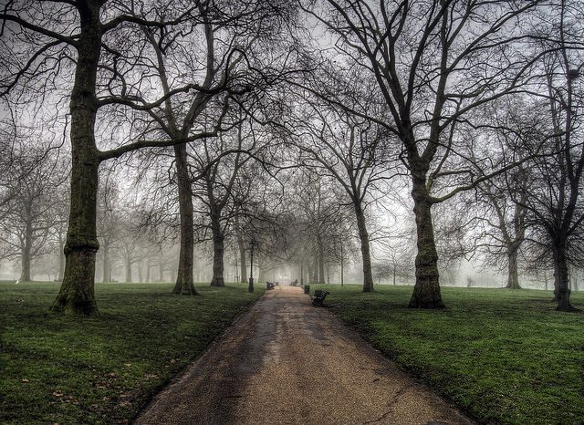 Fog in Green Park, London. Photo: Neil Howard.