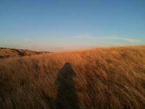 The hike on which I told my Atheist boyfriend that I was converting to Paganism.