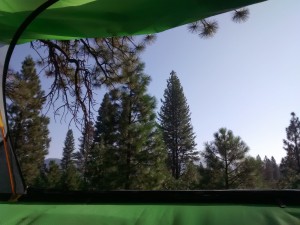 A fantastic view from our tree tent. 