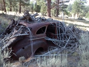 A decaying car in the middle of the forest. What's its' story?