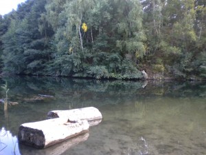 One of my most sacred places in Germany. I received so much healing at this lake.