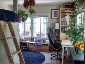 The new room with lots of sunlight and plants. 