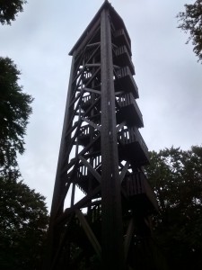 An observation tower in the middle of the forest. 