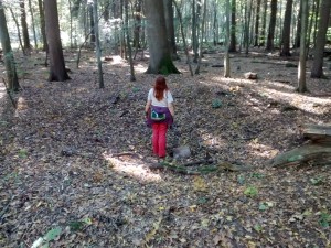 Remembering how these craters in the Bruchköbler forest were "safe zones" in our childrens' play. 