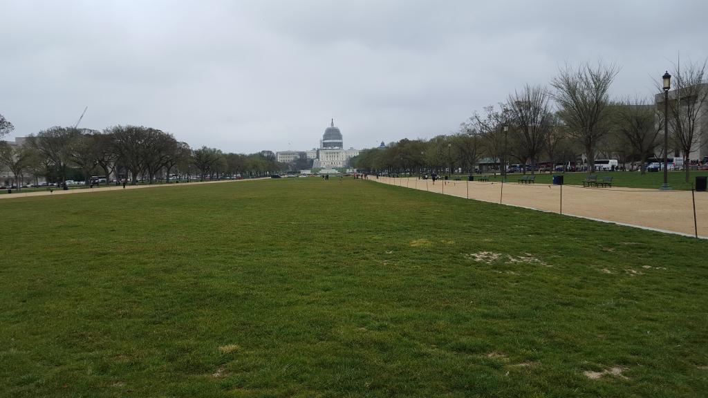 The grass is greener this side of the Capitol. Photo D. Rupert