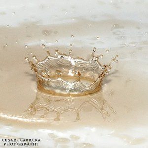 crown splash