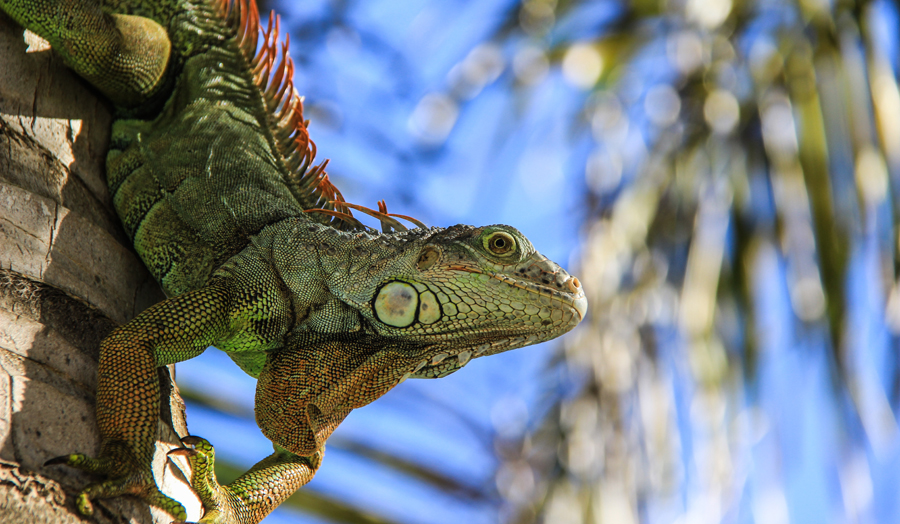 Photo by Mason Jones, Unsplash.Com, CC