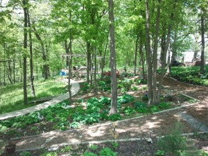 Gardens leading to the woods, with walking paths. Photo by the author. 