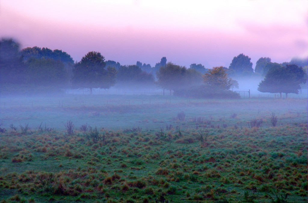 Photo courtesy of Pixabay.com