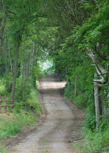 long-and-winding-road-cropped