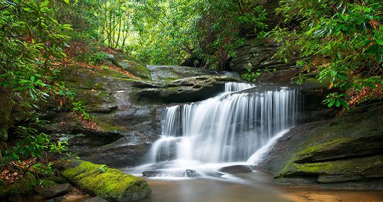 dreamstime_xl_14800361 - 550x290