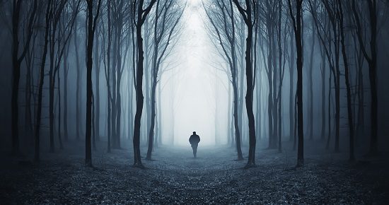 Man walking into enchanted forest